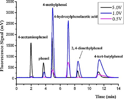 how to read chromatography|how to read chromatography results.